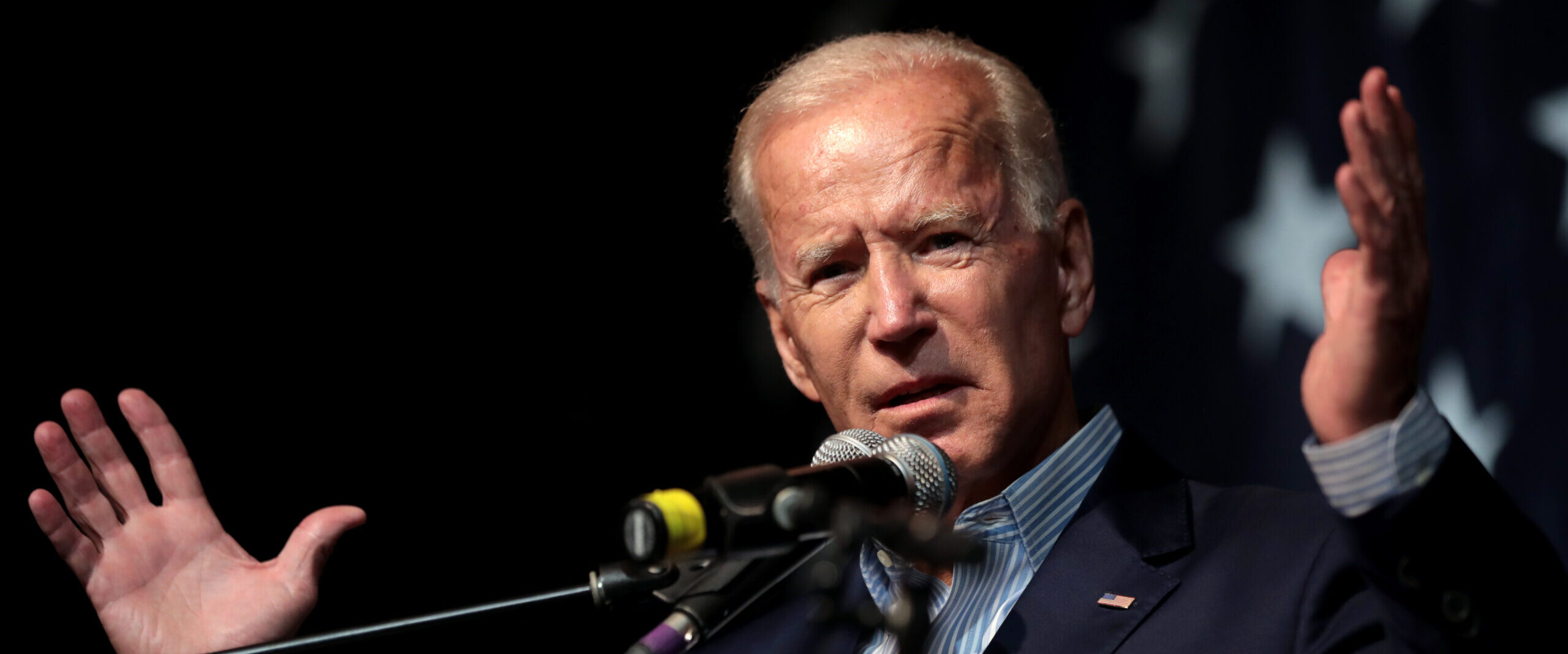 It may take years for Biden to restore wildlife protections erased
