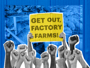 A series of raised fists underneath a sign reading "Get out, Factory Farms!"